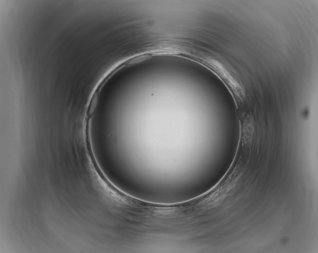 X0000097981484200803241247