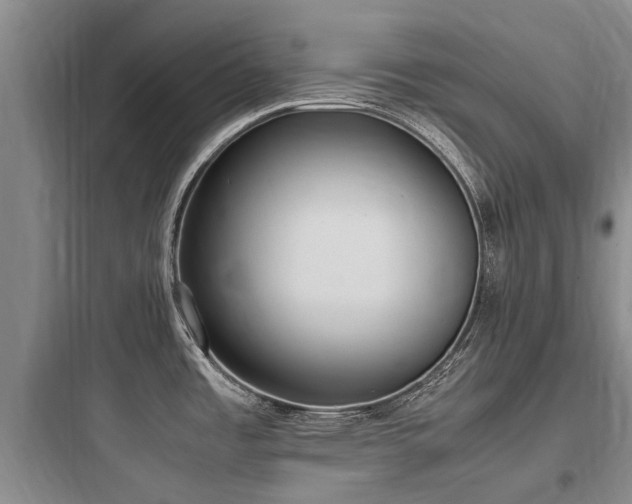 X0000097981485200803241247
