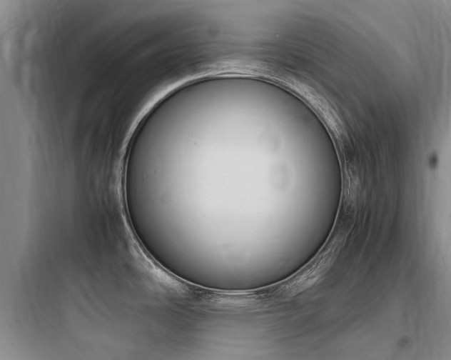 X0000097981486200803241247