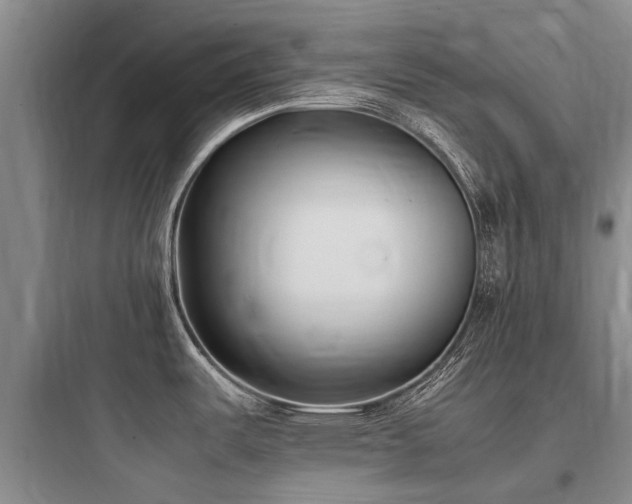 X0000097981487200803241247