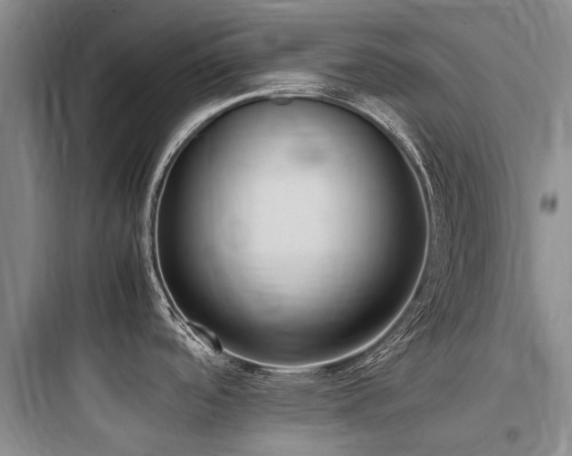 X0000097981488200803241247