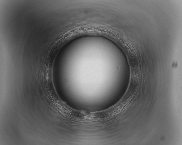 X0000097981490200803241246