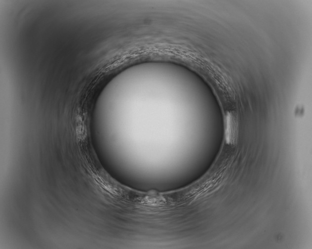 X0000097981491200803241246