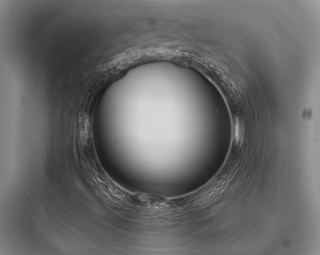 X0000097981492200803241246