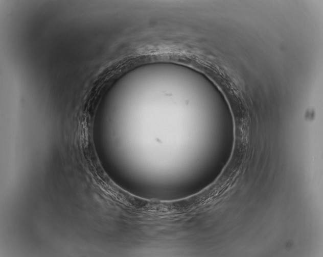 X0000097981493200803241246