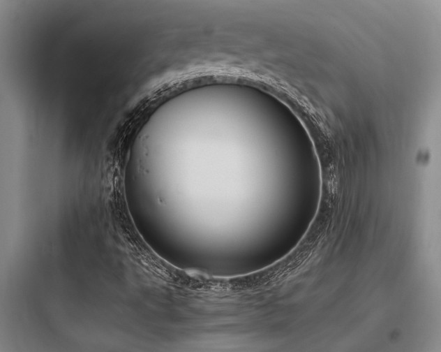 X0000097981495200803241246