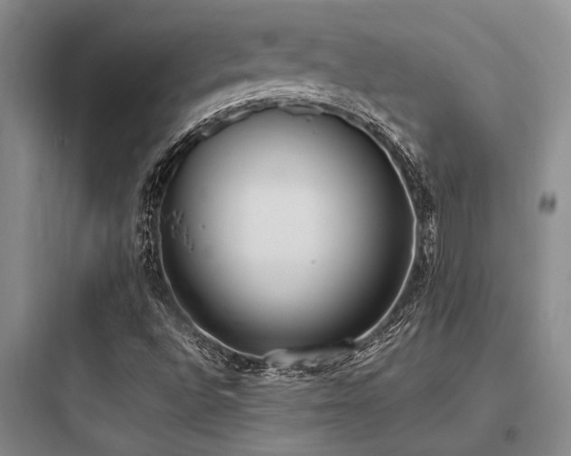 X0000097981496200803241246