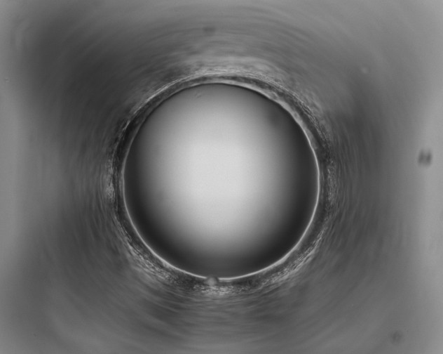 X0000097981497200803241246