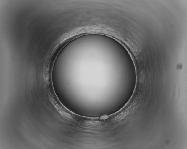 X0000097981499200803241246