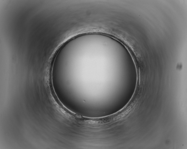 X0000097981500200803241247