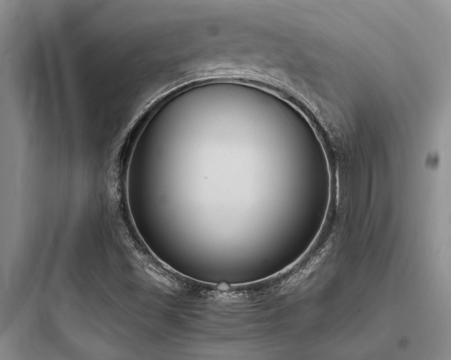 X0000097981501200803241247