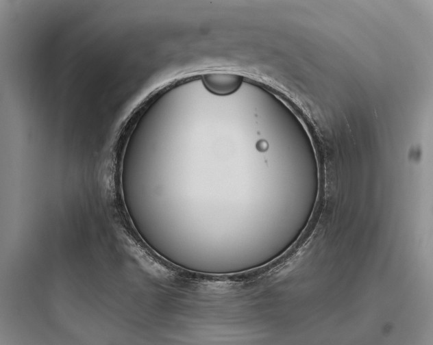 X0000097981502200803241247