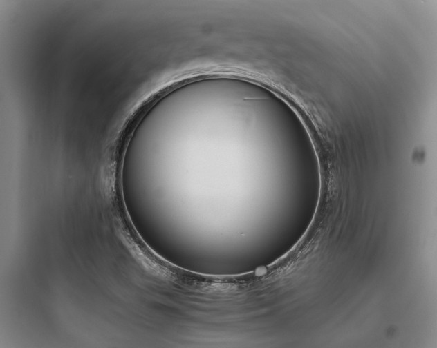 X0000097981503200803241247