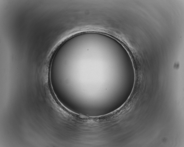 X0000097981504200803241247