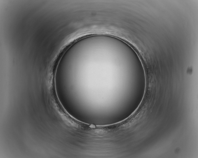 X0000097981507200803241247