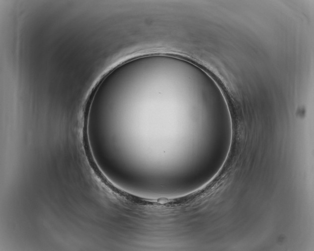 X0000097981508200803241247