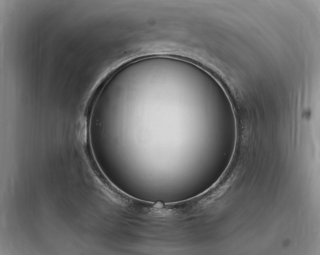 X0000097981509200803241247