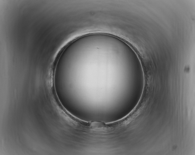 X0000097981510200803241247