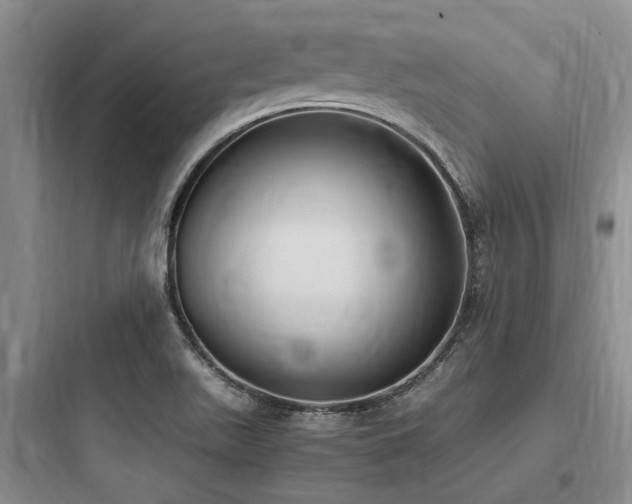 X0000097981511200803241247