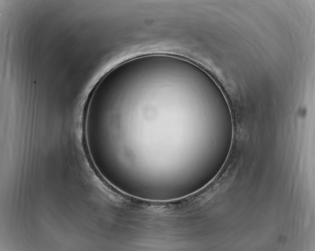 X0000097981512200803241247