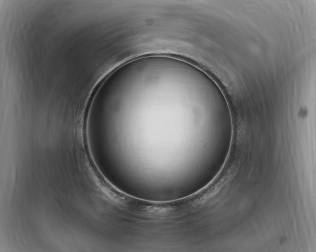 X0000097981513200803241247