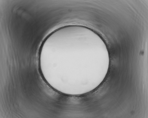 X0000097981514200803241247