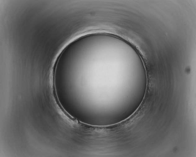 X0000097981516200803241247