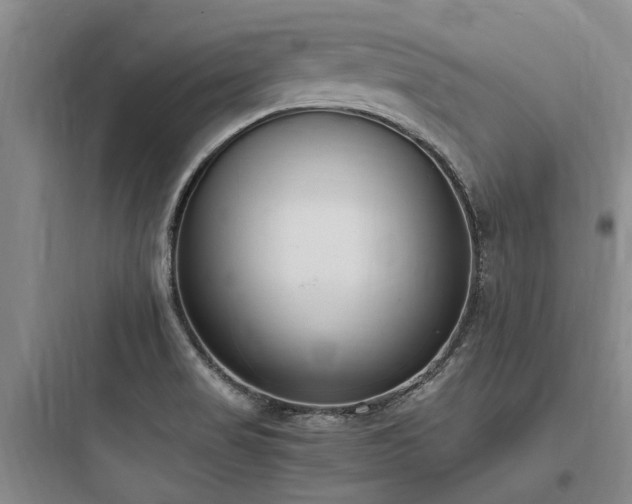 X0000097981517200803241247