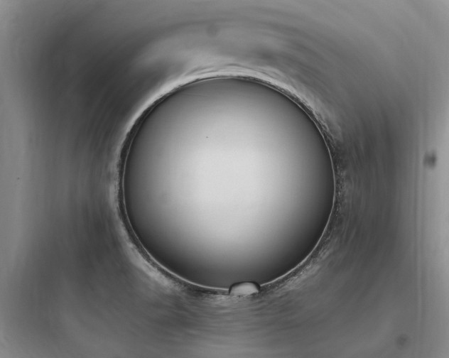 X0000097981518200803241247