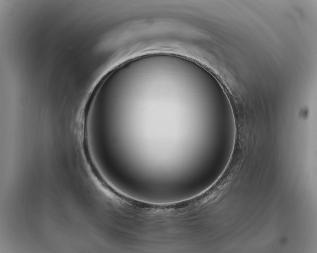 X0000097981519200803241247