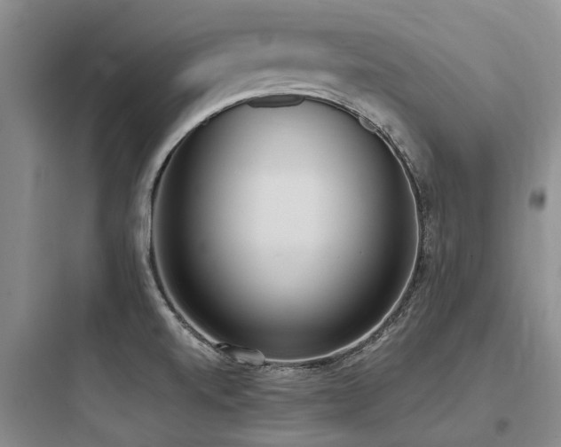 X0000097981520200803241247