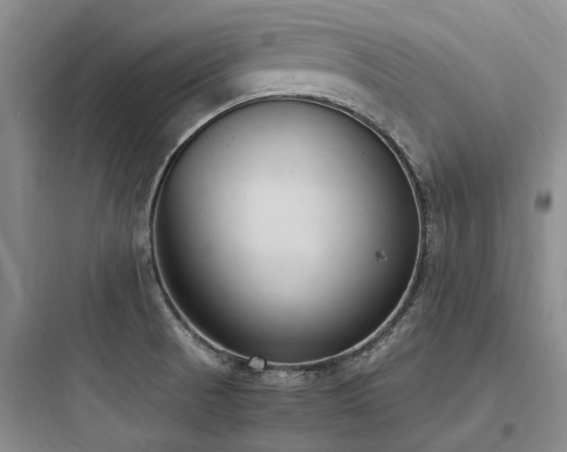 X0000097981521200803241247