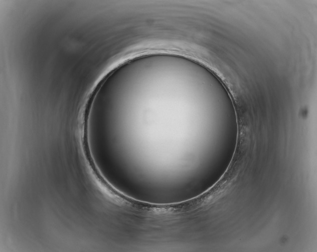 X0000097981523200803241247