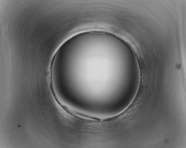 X0000097981524200803241247