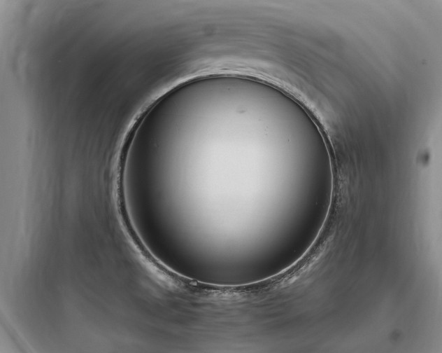 X0000097981525200803241247
