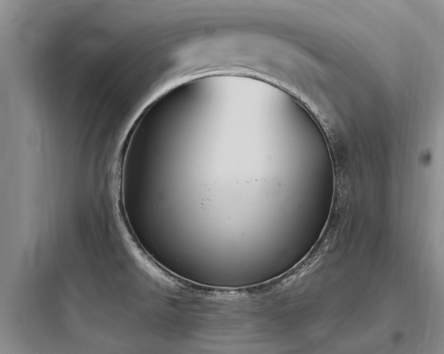 X0000097981526200803241247