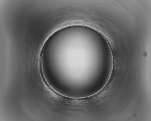 X0000097981527200803241247