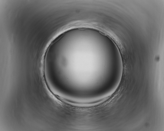 X0000097981528200803241247