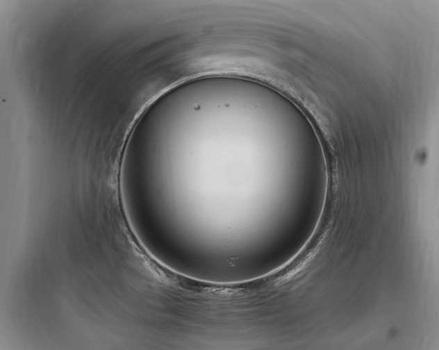 X0000097981529200803241247