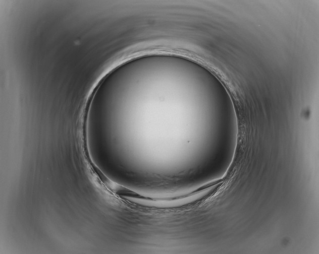 X0000097981530200803241247