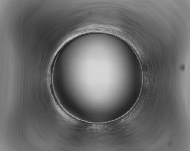X0000097981531200803241247