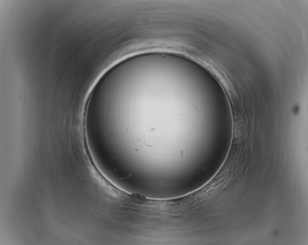 X0000097981532200803241247