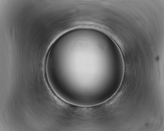 X0000097981533200803241247