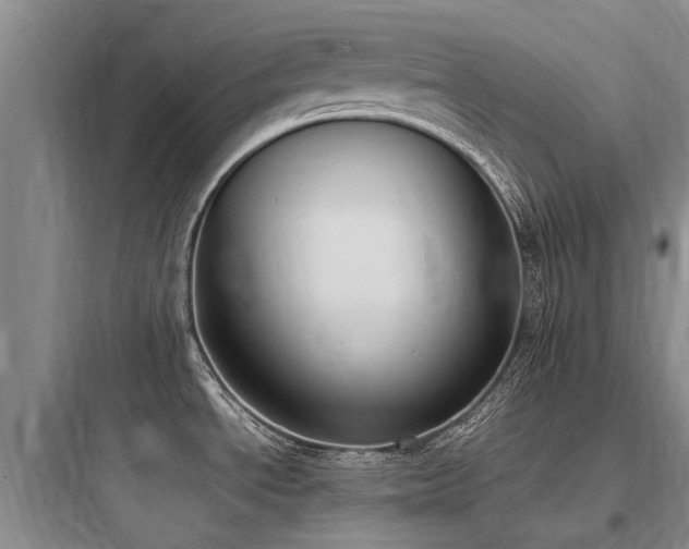 X0000097981534200803241247