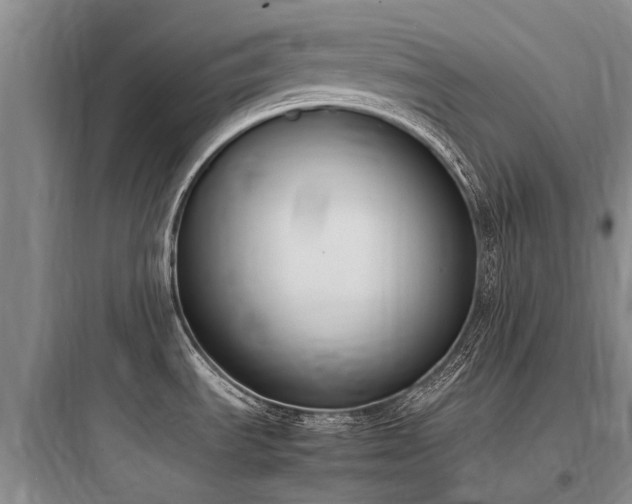 X0000097981535200803241247