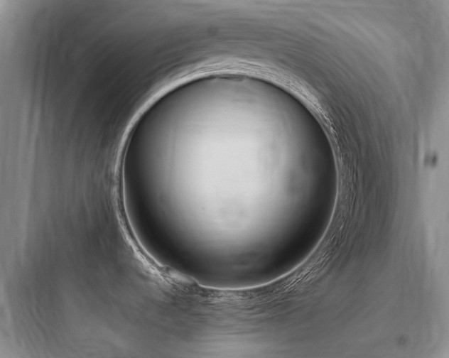 X0000097981536200803241247