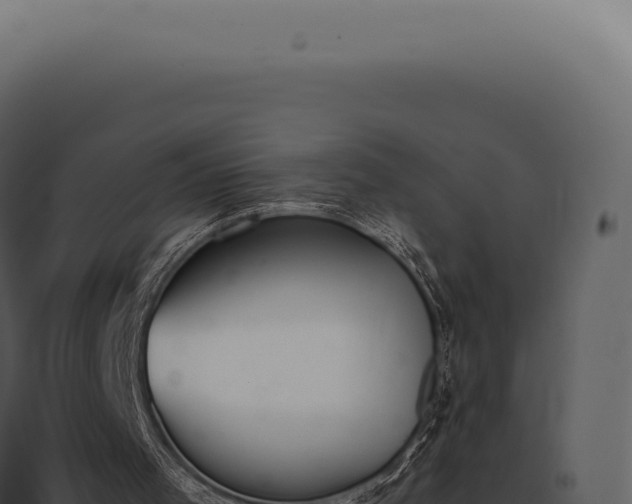 X0000097980001200804011755
