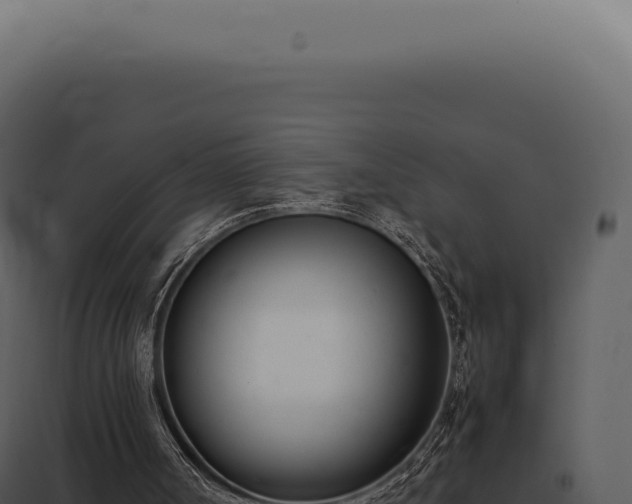 X0000097980002200804011755