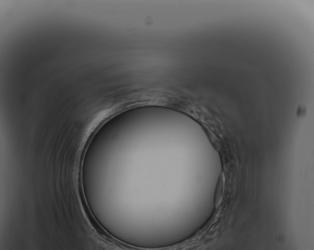 X0000097980003200804011755