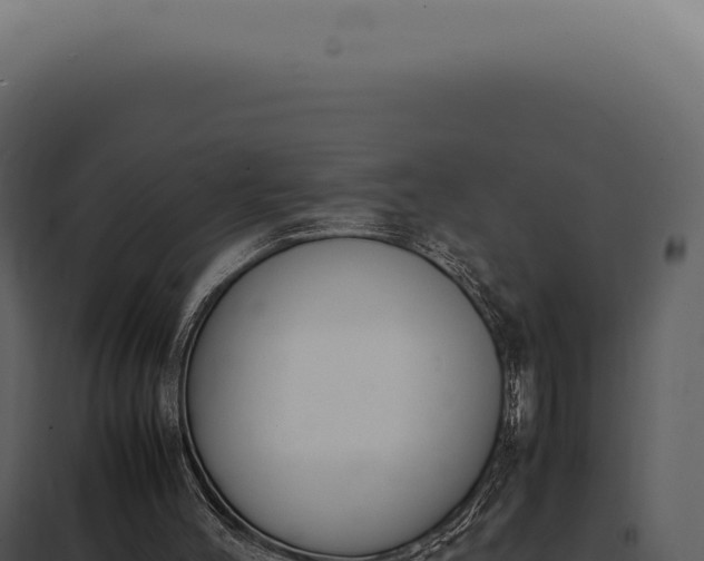 X0000097980004200804011755